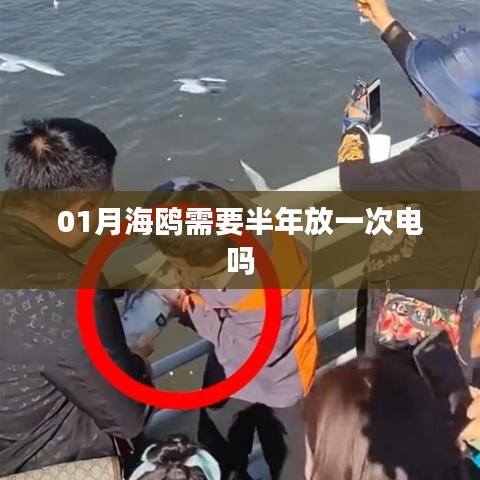 翰飞戾天 第2页