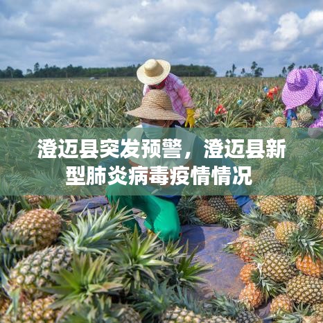 澄迈县突发预警，澄迈县新型肺炎病毒疫情情况 