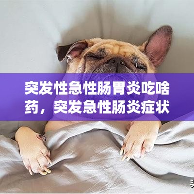关于我们 第85页