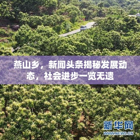 燕山乡，新闻头条揭秘发展动态，社会进步一览无遗