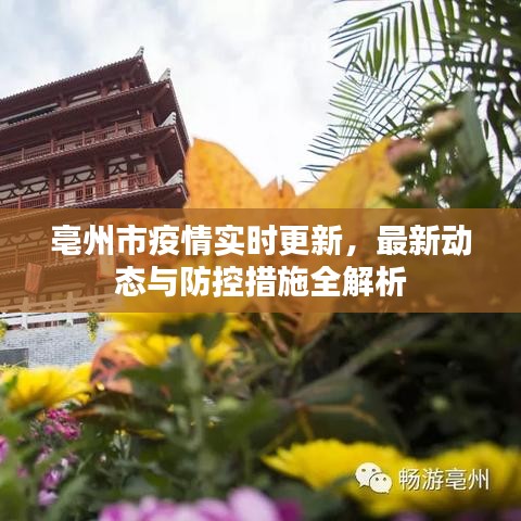亳州市疫情实时更新，最新动态与防控措施全解析