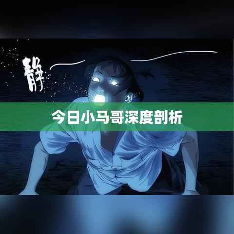 关于我们 第48页