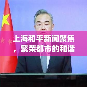 上海和平新闻聚焦，繁荣都市的和谐脉搏
