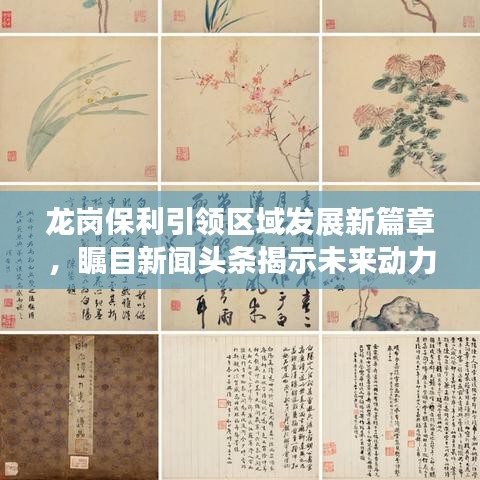 龙岗保利引领区域发展新篇章，瞩目新闻头条揭示未来动力