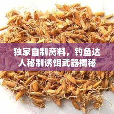 独家自制窝料，钓鱼达人秘制诱饵武器揭秘
