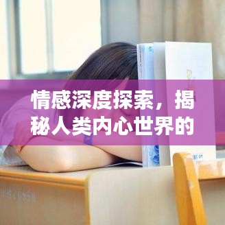 情感深度探索，揭秘人类内心世界的24大专题解析