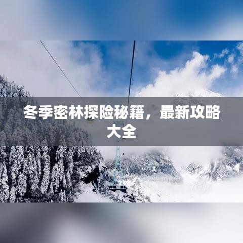 冬季密林探险秘籍，最新攻略大全