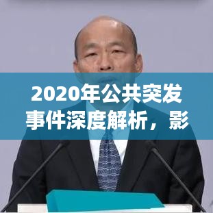 2020年公共突发事件深度解析，影响与启示