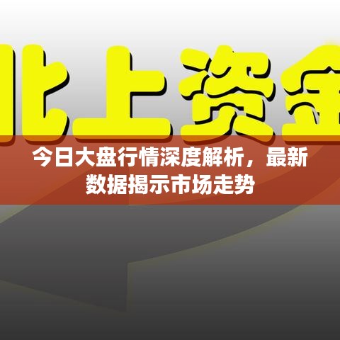 今日大盘行情深度解析，最新数据揭示市场走势