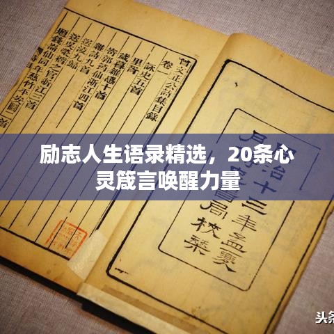 励志人生语录精选，20条心灵箴言唤醒力量