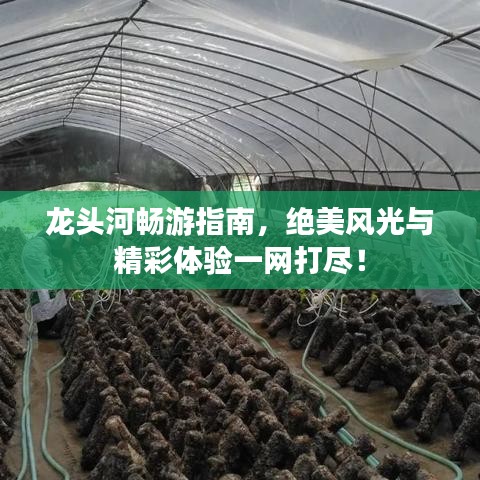 龙头河畅游指南，绝美风光与精彩体验一网打尽！