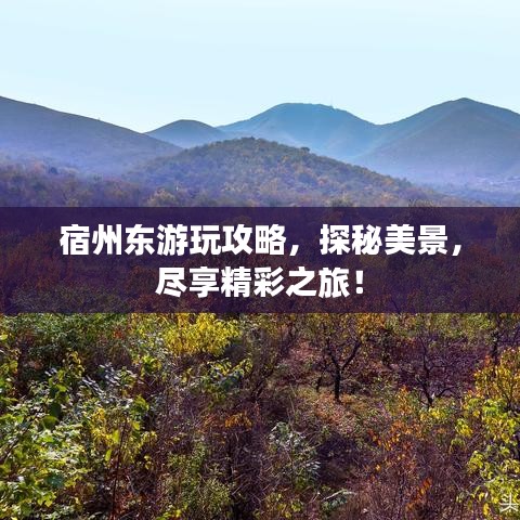 宿州东游玩攻略，探秘美景，尽享精彩之旅！