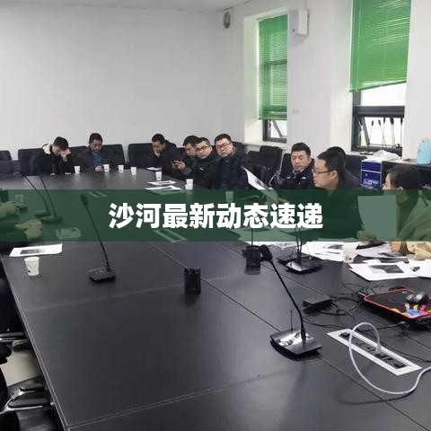 沙河最新动态速递
