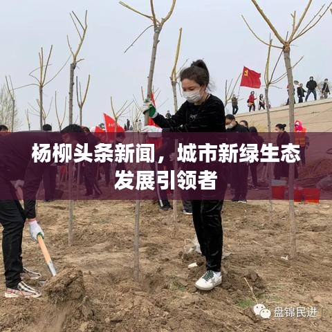 杨柳头条新闻，城市新绿生态发展引领者