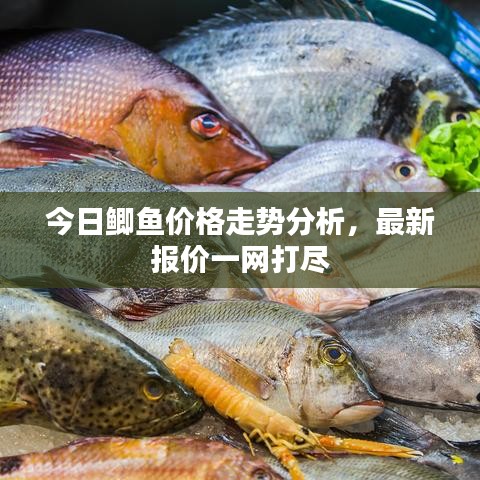 2025年5月10日