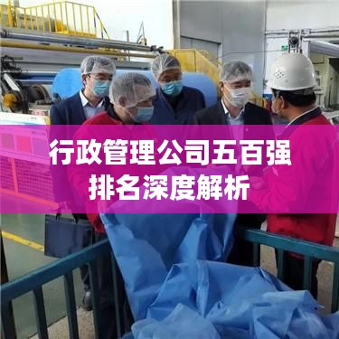 行政管理公司五百强排名深度解析