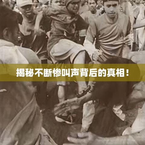 揭秘不断惨叫声背后的真相！
