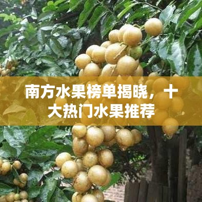 南方水果榜单揭晓，十大热门水果推荐