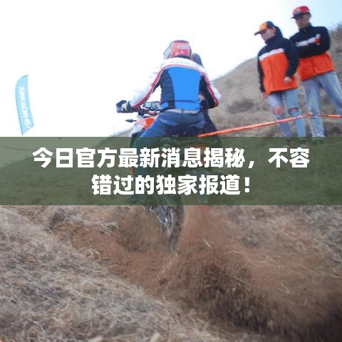今日官方最新消息揭秘，不容错过的独家报道！