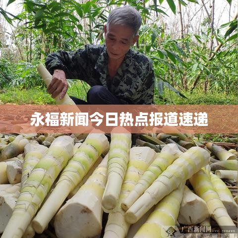 永福新闻今日热点报道速递