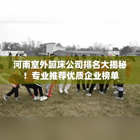 河南室外蹦床公司排名大揭秘！专业推荐优质企业榜单