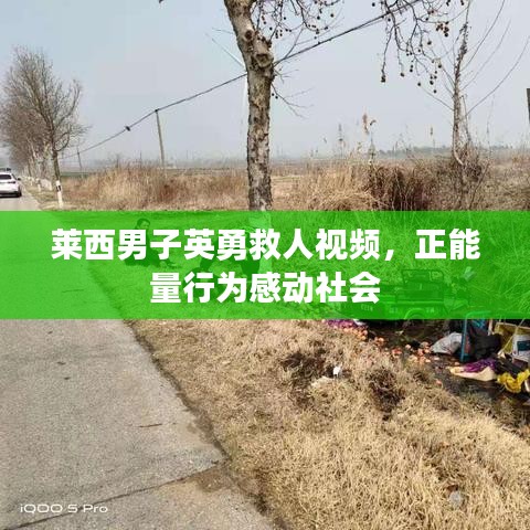莱西男子英勇救人视频，正能量行为感动社会