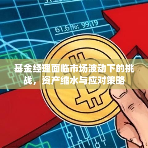 基金经理面临市场波动下的挑战，资产缩水与应对策略
