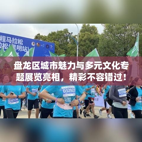 盘龙区城市魅力与多元文化专题展览亮相，精彩不容错过！