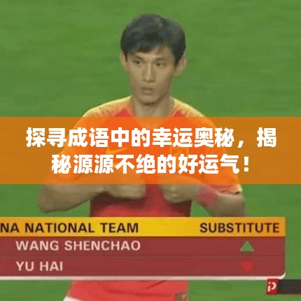 探寻成语中的幸运奥秘，揭秘源源不绝的好运气！