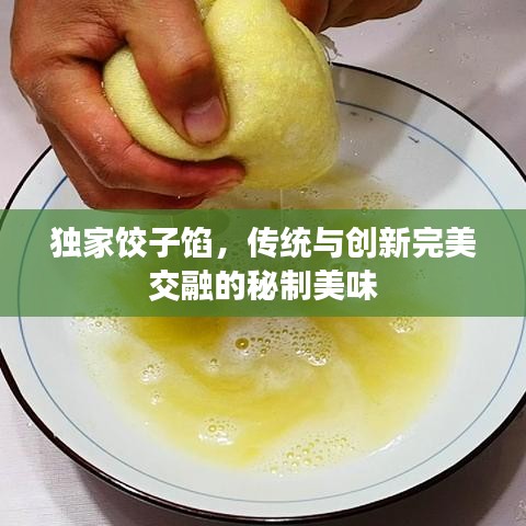 独家饺子馅，传统与创新完美交融的秘制美味