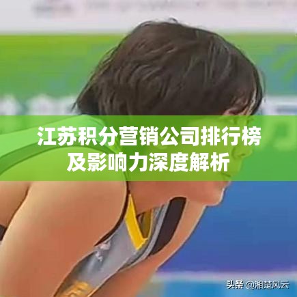 江苏积分营销公司排行榜及影响力深度解析
