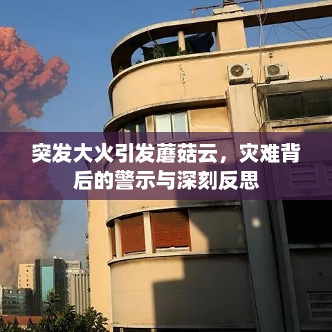 突发大火引发蘑菇云，灾难背后的警示与深刻反思