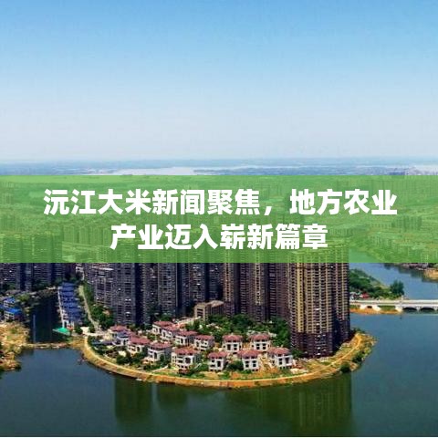 沅江大米新闻聚焦，地方农业产业迈入崭新篇章