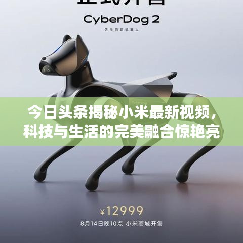 今日头条揭秘小米最新视频，科技与生活的完美融合惊艳亮相！