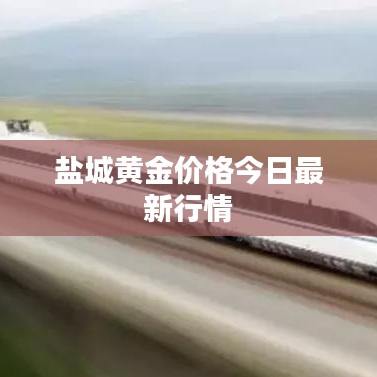 盐城黄金价格今日最新行情