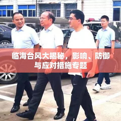 临海台风大揭秘，影响、防御与应对措施专题