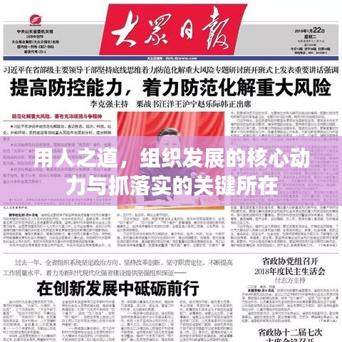 用人之道，组织发展的核心动力与抓落实的关键所在
