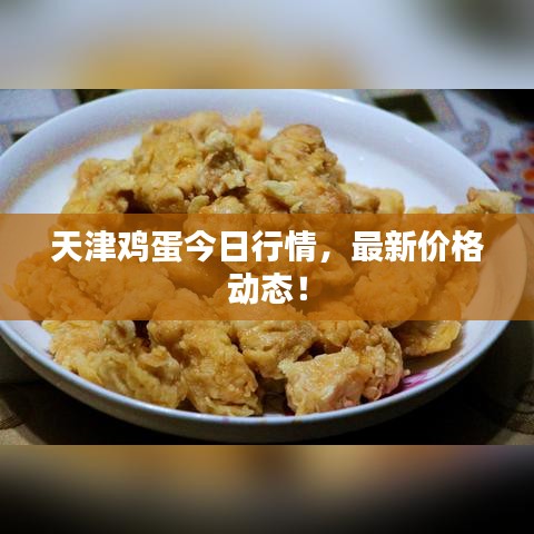 天津鸡蛋今日行情，最新价格动态！