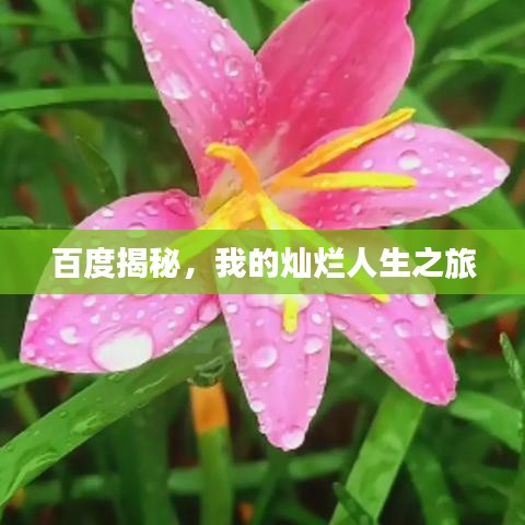 百度揭秘，我的灿烂人生之旅
