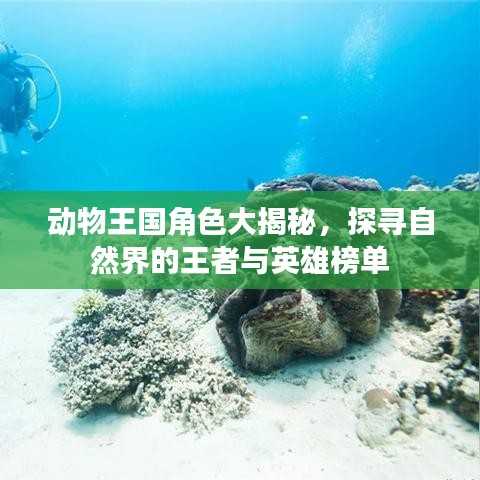 动物王国角色大揭秘，探寻自然界的王者与英雄榜单