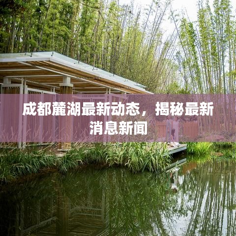成都麓湖最新动态，揭秘最新消息新闻