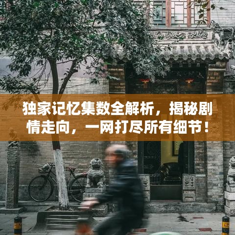 独家记忆集数全解析，揭秘剧情走向，一网打尽所有细节！