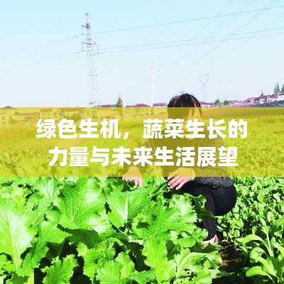 绿色生机，蔬菜生长的力量与未来生活展望