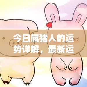 今日属猪人的运势详解，最新运势分析报告出炉！