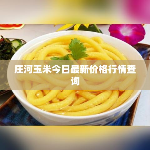 庄河玉米今日最新价格行情查询