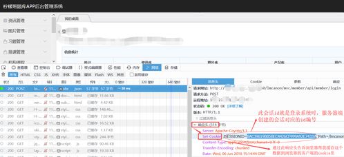 ie浏览器版官方下载,数据支持执行方案 tShop_v3.339