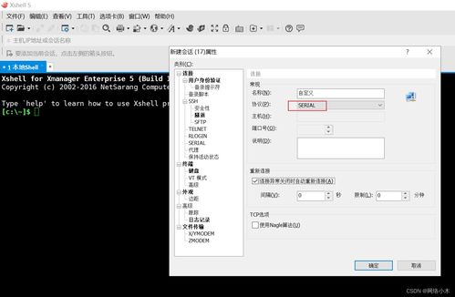专业级工具，扣扣610版本下载与专家解析Console_v7.600