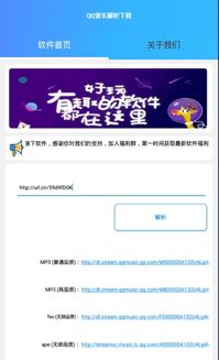 qq打字软件官方下载,系统研究解释定义_完整版_v2.606