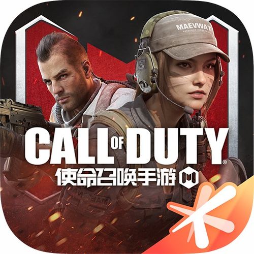 使命召唤2官方下载,实地执行考察设计_创新版_v9.356