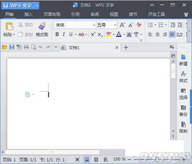 wps office旧版本,深入应用数据执行 DX版_v7.476